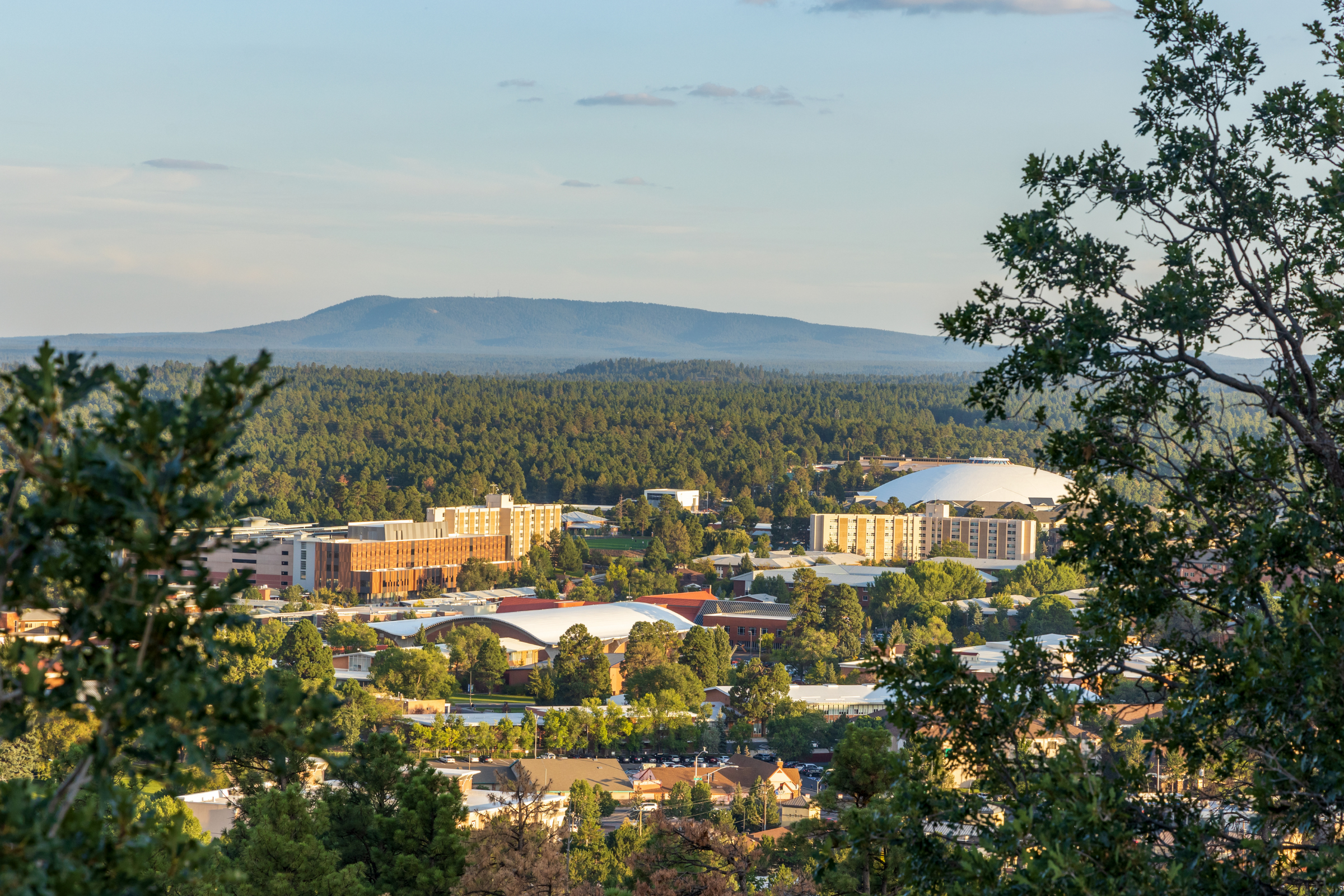 flagstaff, arizona (3).webp